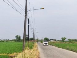 Anggap Merusak Tanaman Padi, Petani di Cikarang Tutupi Lampu Jalan dengan Cat