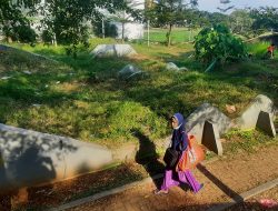 Arena Skateboarb di Kawasan Creative Center Terbengkalai, Komunitas: Sejak Awal Tidak Layak