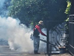 DBD Masih Mengganas di Kota Bekasi, 1.583 Kasus Tercatat hingga Awal Juni 2026
