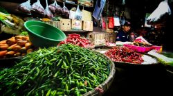 Beban Pengeluaran Dapur Kian Berat Dirasakan Masyarakat Bekasi akibat Lonjakan Harga Kebutuhan Pokok