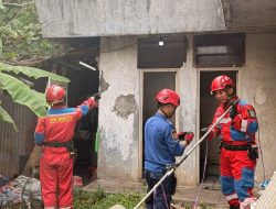 Monyet Ekor Panjang Resahkan Warga Margahayu, Disdamkarmat Turun Tangan