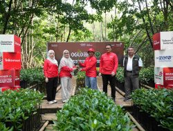 Dari Lari Jadi Asri: Ribuan Langkah di Telkomsel Digiland Run 2026, Jadi Ribuan Akar untuk Indonesia