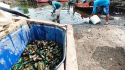 Usut Dugaan Pencemaran Laut, DPRD Kabupaten Bekasi Bakal Panggil DLH dan Perusahaan