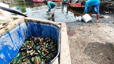 Usut Dugaan Pencemaran Laut, DPRD Kabupaten Bekasi Bakal Panggil DLH dan Perusahaan