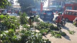 Antisipasi Pohon Tumbang, Pohon di Depan Pasar Kranggan Dipangkas
