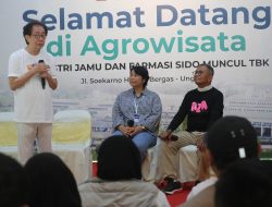 Hoax Bijaksana
