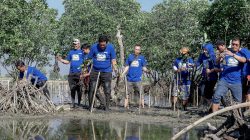 Sambut HUT ke-25, Demokrat Bekasi Tanam Mangrove di Muaragembong