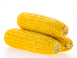 Rendah Kalori dan Tinggi Serat, Simak 5 Alasan Mengapa Jagung Bagus untuk Diet