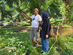 Dari Jalan Berlumpur hingga Pelosok Desa, Kiprah Mantri BRI Menjadi Penggerak Pertumbuhan Ekonomi Kerakyatan