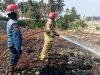 Kemarau Picu Lonjakan Kebakaran Lahan di Kota Bekasi