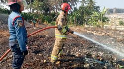 Kemarau Picu Lonjakan Kebakaran Lahan di Kota Bekasi