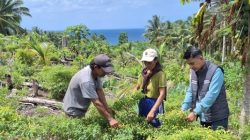 Di Tengah Bentang Kepulauan Talaud, Mantri BRI Hadir Menggerakkan Denyut Nadi Perekonomian
