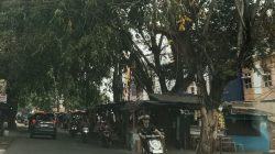 Jangan Tunggu Korban, Warga Minta Pohon di Jalan Patriot Jakasampurna Dipangkas