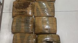 Polres Metro Bekasi Gagalkan Pengiriman 17 Kg Ganja dari Sumatra Utara ke Jabodetabek