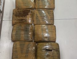 Polres Metro Bekasi Gagalkan Pengiriman 17 Kg Ganja dari Sumatra Utara ke Jabodetabek