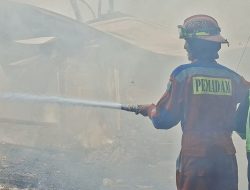 Kemarau Picu Lonjakan Kebakaran, 83 Kejadian Selama Juli di Kabupaten Bekasi