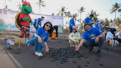 Dorong Pelestarian Penyu, BCA Bersama 100 Pelajar Gelar Edukasi dan  Pelepasan Tukik di Banyuwangi