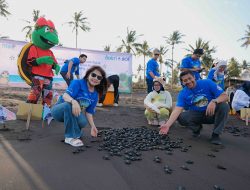 Dorong Pelestarian Penyu, BCA Bersama 100 Pelajar Gelar Edukasi dan  Pelepasan Tukik di Banyuwangi