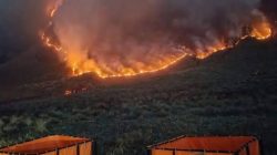 Mengerikan! Api Melahap 520 Hektare Bromo, Wisata Ditutup Total