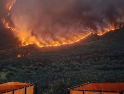 Mengerikan! Api Melahap 520 Hektare Bromo, Wisata Ditutup Total