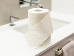 Sering Lap Dudukan Toilet Umum Pakai Tisu? Ternyata Bisa Jadi Kebiasaan yang Salah