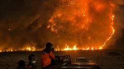 Indonesia Dikepung Api, Enam Provinsi Masuk Zona Kritis Karhutla