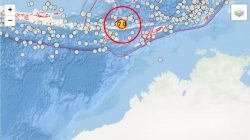 Gempa M 7,7 Guncang NTT, BMKG Keluarkan Peringatan Tsunami untuk Delapan Wilayah
