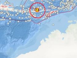Gempa M 7,7 Guncang NTT, BMKG Keluarkan Peringatan Tsunami untuk Delapan Wilayah
