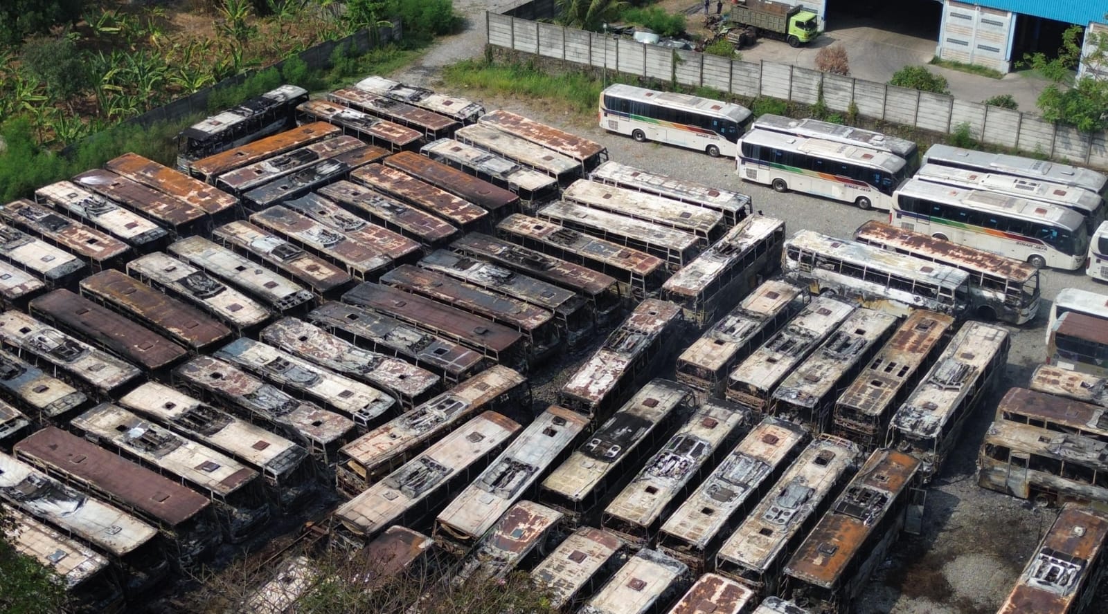Puluhan Bus Sinar Jaya Hangus Terbakar di Cikarang