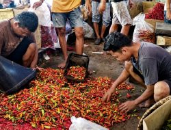 Pasokan Bahan Pangan ke Pasar Induk Cibitung Menyusut, Harga Kacang hingga Cabai Naik
