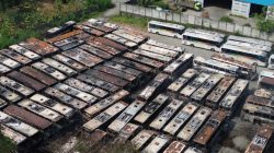 Penyebab Kebakaran Hanguskan 50 Bus Sinar Jaya di Cikarang Tunggu Hasil Puslabfor