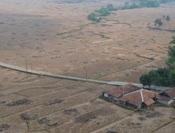Sawah Mengering di Bekasi Tak Masuk Kriteria Terdampak Kekeringan