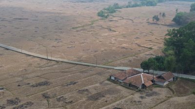 Sawah Mengering di Bekasi Tak Masuk Kriteria Terdampak Kekeringan