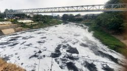 Wali Kota Bekasi Minta Pengawasan Industri di Sepanjang Aliran Kali Bekasi Diperketat