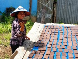 Bersama BRI, Usaha Mikro Rawat Resep Terasi Kumbe Asal Merauke Raih Pasar Lebih Luas