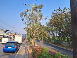 Dinas Perkimtan Kabupaten Bekasi Lanjutkan Pembangunan Taman Median Kalimalang