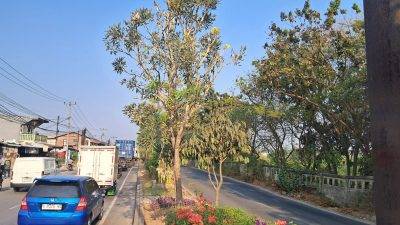 Dinas Perkimtan Kabupaten Bekasi Lanjutkan Pembangunan Taman Median Kalimalang