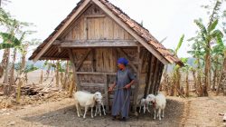 Kampung Korod Cibarusah Bakal Jadi Kampung Bernuansa Sunda, Pertahankan Persawahan hingga Leuit