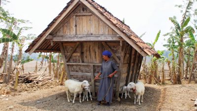 Kampung Korod Cibarusah Bakal Jadi Kampung Bernuansa Sunda, Pertahankan Persawahan hingga Leuit